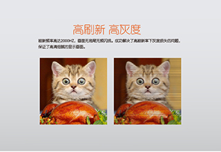 擁有國家級一流專業(yè)